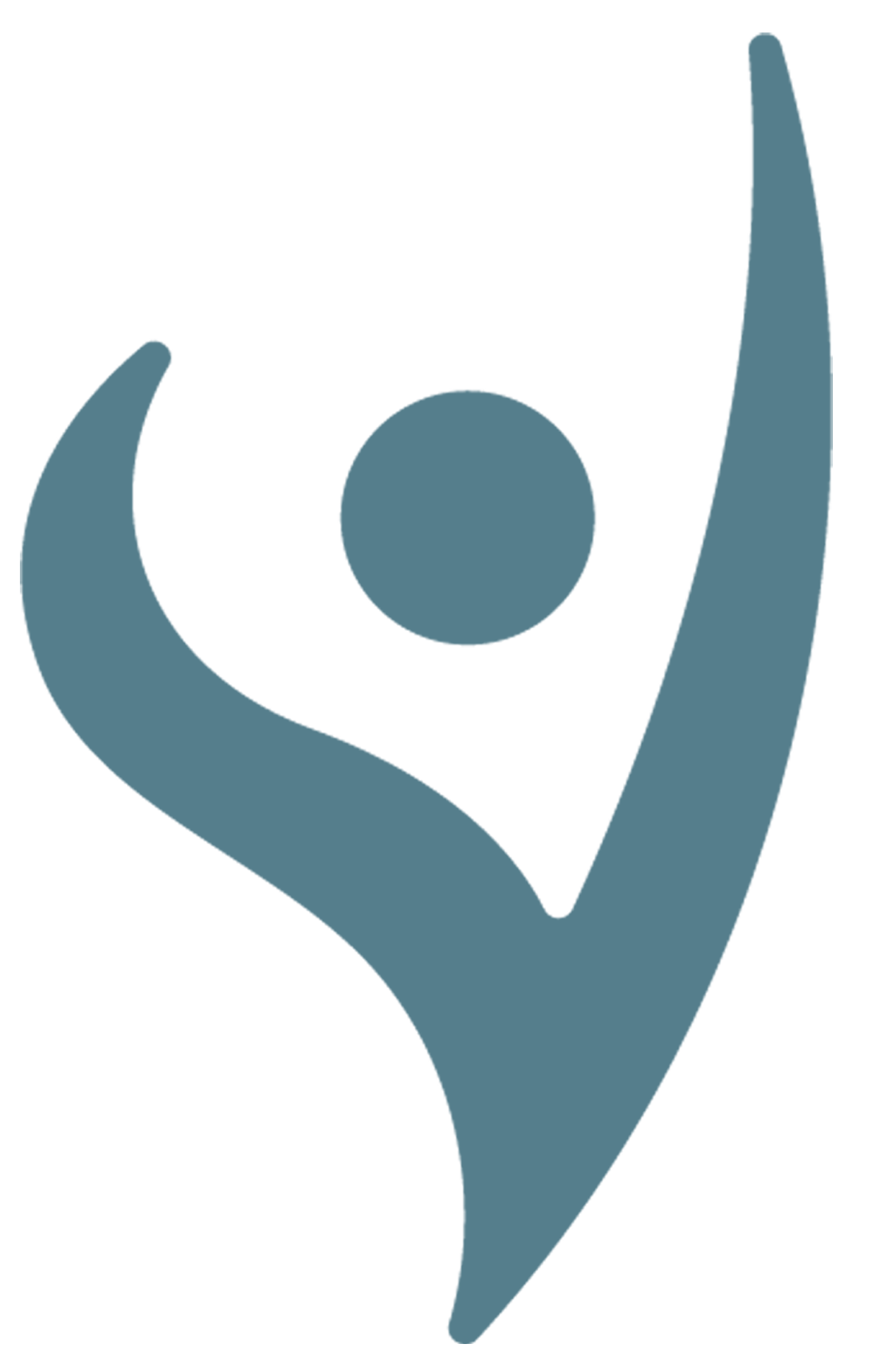 active-pro-recovery.ro logo